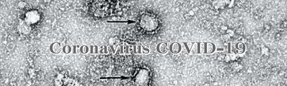 Coronavirus COVID-19