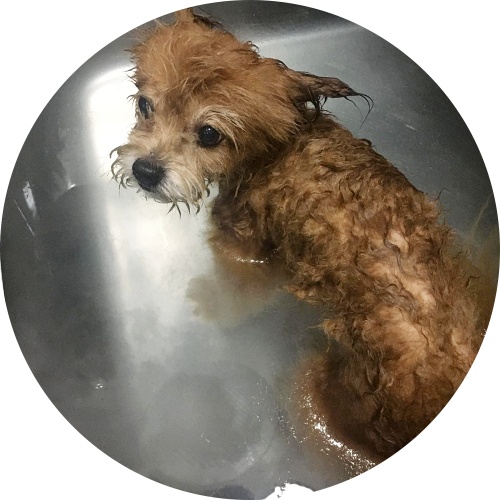 水素風呂にママが入れてくれたよ