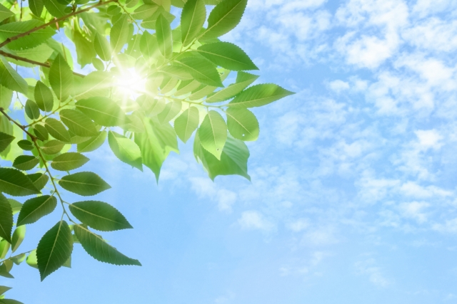 紫外線による活性酸素を水素ミストで抑制