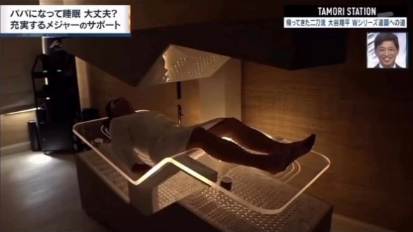 Ammortal Chanber社製の近未来型の形をしたベッド