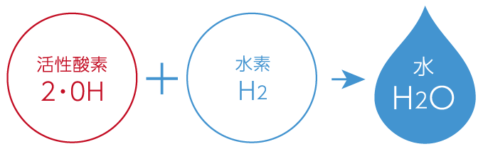 水素が活性酸素を除去
